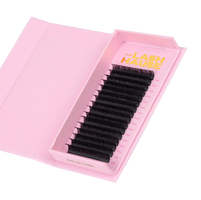 Shop Lash Trays